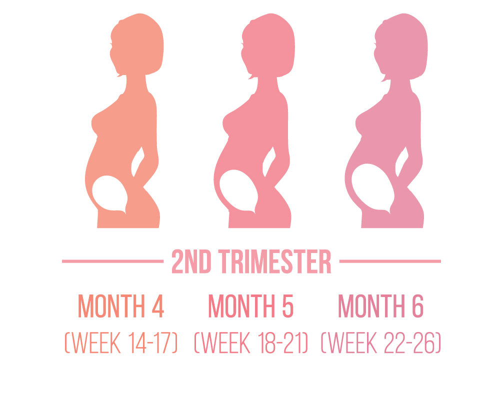 carriwell, εγκυμοσύνη, μελάγχρωση, αύξηση βάρους στην εγκυμοσύνη, τρίμηνο, 2ο τρίμηνο