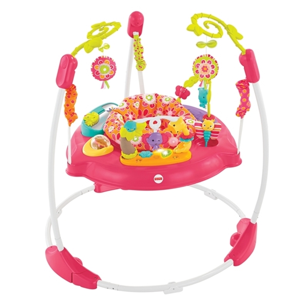 Picture of Fisher Price Jumperoo Pink Petals #DJC81