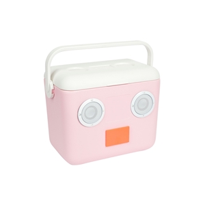 SunnyLife Cooler Box με Ηχεία, Pink