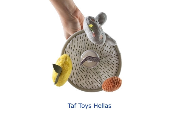 Taf Toys Garden Pram Mobile