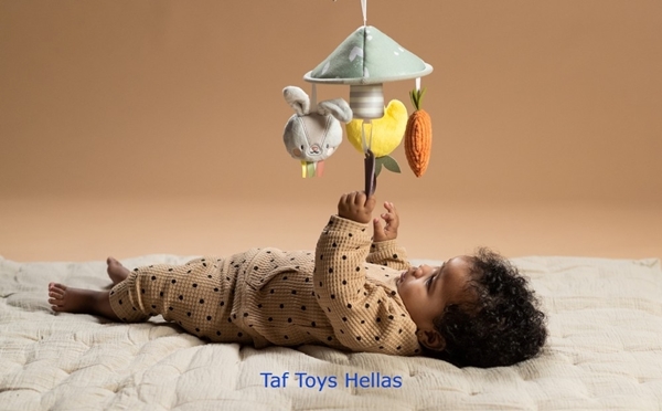 Taf Toys Garden Pram Mobile