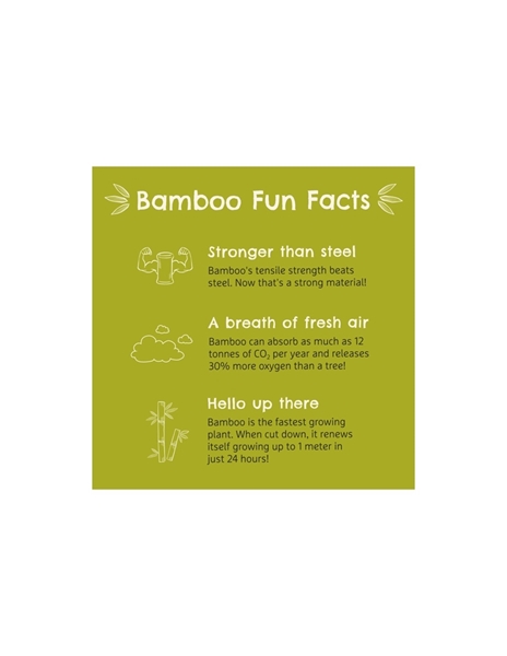 Munchkin Bamboo Devided Plate Mint