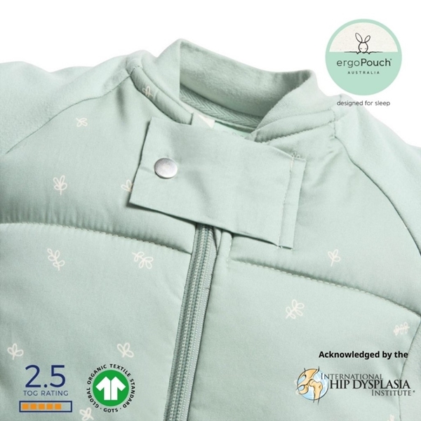 ergoPouch Υπνόσακος Sleep Suit 2 σε 1  2.5 tog 8-24 μηνών Sage