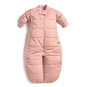 ergoPouch Υπνόσακος Sleep Suit 2 σε 1  2.5 tog 8-24 μηνών Berries