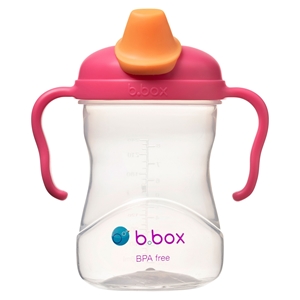 B.Box Εκπαιδευτικό Κύπελλο Spout Cup με Στόμιο Raspberry 240ml. 