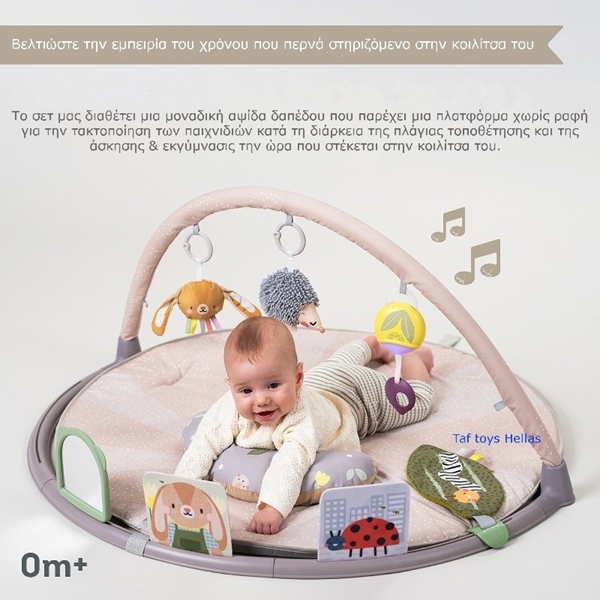 Taf Toys Γυμναστήριο Δραστηριοτήτων Tummy Time Activity Gym 