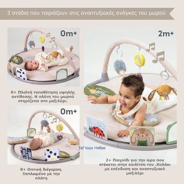 Taf Toys Γυμναστήριο Δραστηριοτήτων Tummy Time Activity Gym 