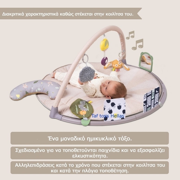 Taf Toys Γυμναστήριο Δραστηριοτήτων Tummy Time Activity Gym 