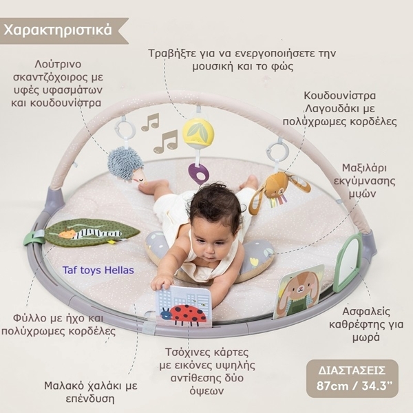 Taf Toys Γυμναστήριο Δραστηριοτήτων Tummy Time Activity Gym 