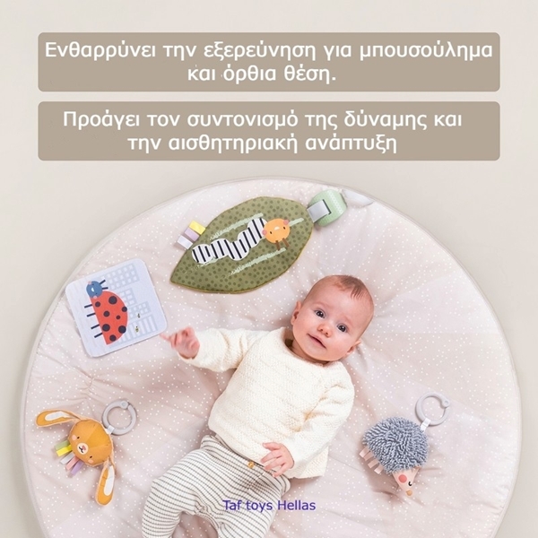 Taf Toys Γυμναστήριο Δραστηριοτήτων Tummy Time Activity Gym 