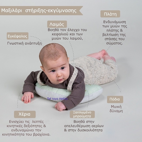 Taf Toys Παιχνίδια Δραστηριοτήτων Tummy Time Essentials Kit