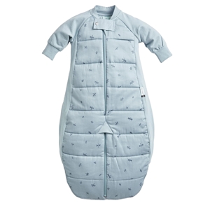 ErgoPouch Υπνόσακος Sleep Suit 2.5 tog 8-24 μηνών Dragonflies